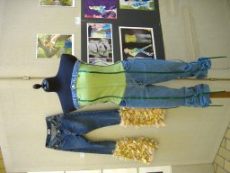 Z Nagy Zsofi farmerruha 2006